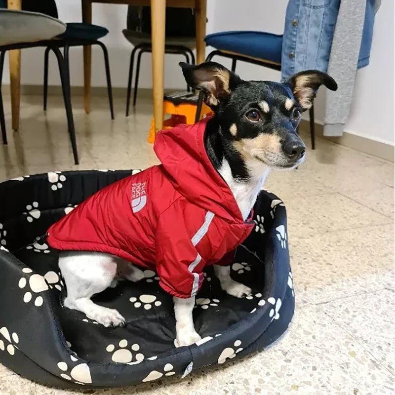 The Dog Face Waterproof Dog Jacket